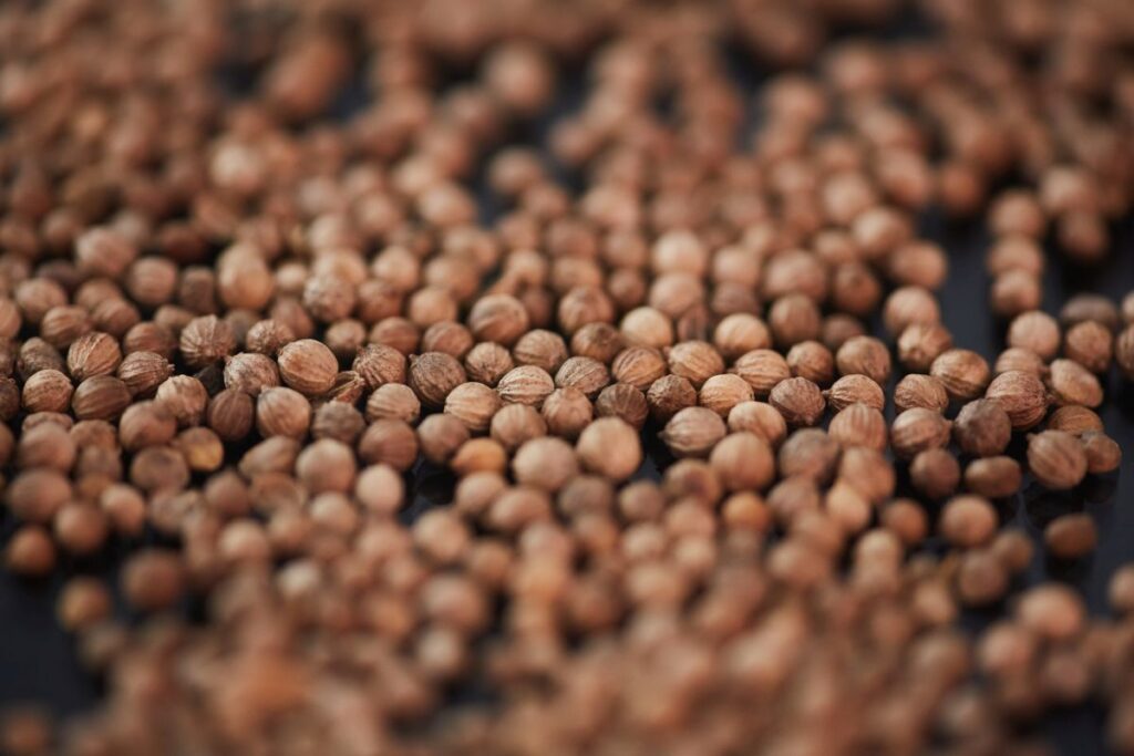 Co oznacza „photo period” w opisie nasion?