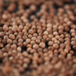 Co oznacza „photo period” w opisie nasion?