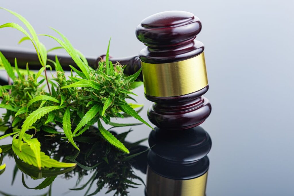 Co grozi za nielegalne posiadanie marihuany w 2025 roku?