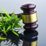 Co grozi za nielegalne posiadanie marihuany w 2025 roku?