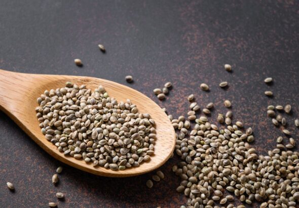 Najlepsze marki nasion z Europy – przegląd i opinie